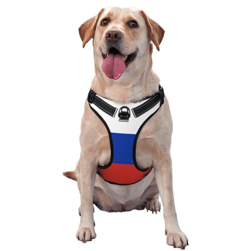 Hundegeschirr, atmungsaktiv und verstellbar, mit Leine, russische Flagge, Hundegeschirr für große, mittelgroße und kleine Hunde von LZNJZ