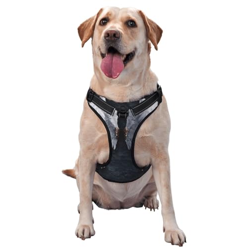 Hundegeschirr mit Leine, atmungsaktiv und verstellbar, für große, mittelgroße und kleine Hunde von LZNJZ