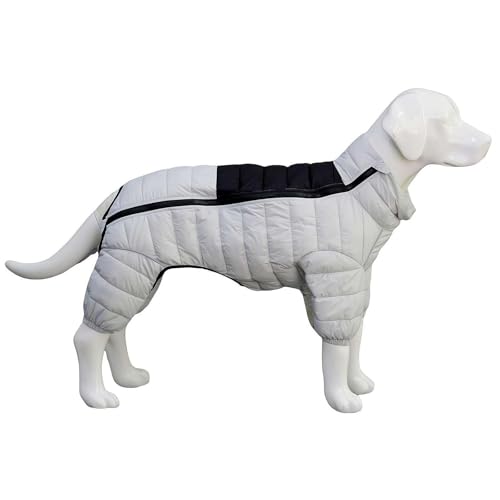 Hunde-Winterkleidung für Hunde, warm, mit verstellbarem Reißverschluss, Größe S, reflektierend, winddicht, wasserdicht, für den Außenbereich von LZYWOD