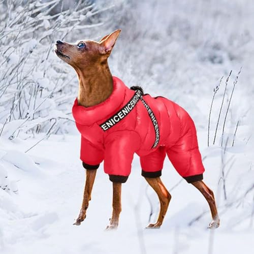 Wintermantel für Hunde, kaltes Wetter, wasserdicht, winddicht, gepolstert, mit Reißverschluss, warme mittlere Kleidung, roter Hund von LZYWOD