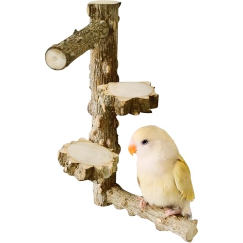 La La Pet Vogelsitzstange aus natürlichem Holz, für Papageien, Standplattform, abnehmbare DIY-Sittiche, Sitzstange, Spielzeug für Vogelkäfig, Dekoration, mehrere Zweige für 4 Papageien von La La Pet