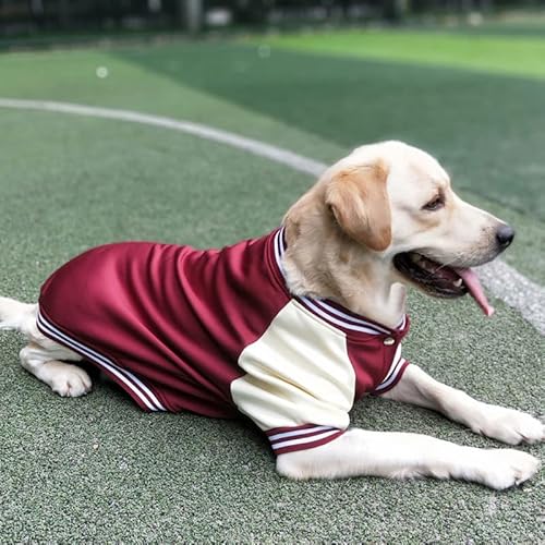 Baseball-Uniformen, Haustierkleidung, mittelgroße und große Hunde, Golden Retriever, Labrador-Hundekleidung, Herbst- und Winterkleidung, dicke Kleidung von LaLiz