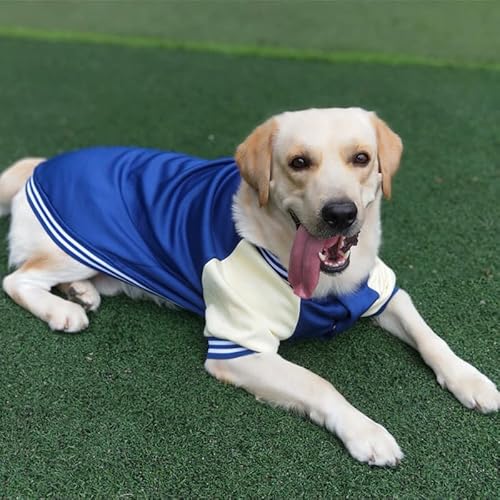 Baseball-Uniformen, Haustierkleidung, mittelgroße und große Hunde, Golden Retriever, Labrador-Hundekleidung, Herbst- und Winterkleidung, dicke Kleidung von LaLiz