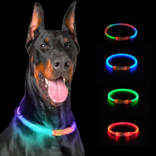 LaRoo LED Leuchthalsband für Hunde,Farbverlauf Einstellbar Wiederaufladbar Wasserdicht Hundehalsband Leuchtend mit Vier Farben für Kleine und Großer Hund von LaRoo