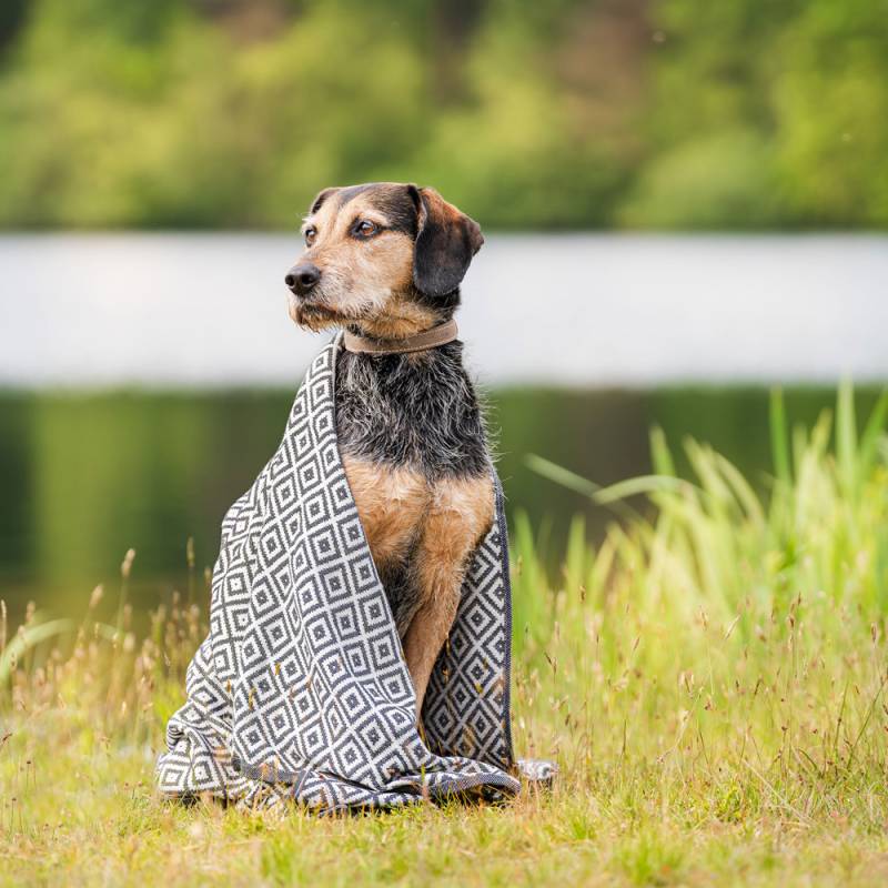 Labbvenn Hundehandtuch Linaa grey, Maße: ca. 75 x 150 cm von Labbvenn