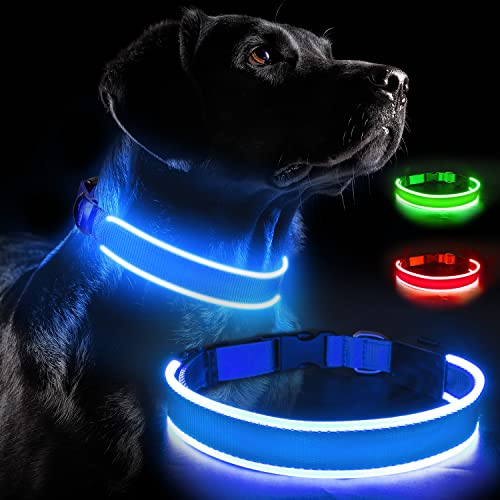 LED Hundehalsband USB Wiederaufladbar Leuchthalsband Verstellbar Zuschneidbar Wasserdicht Bleiben Sie sicher und sichtbar Blinkendes Hundehalsband Leuchtet im Dunkeln für kleine, mittelgroße und große Hunde (XL, Bule) von Labeol
