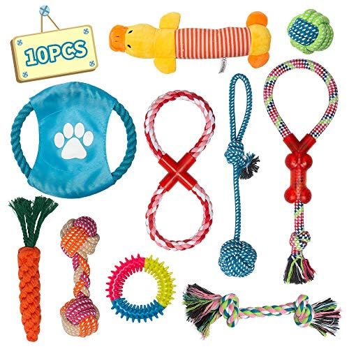 Labeol Welpen Hundespielzeug Hund Kauspielzeug Unzerstoerbar Interaktives Spielzeug 10pcs Pet Rope Spielzeug und Quietschende Hundespielzeug für Welpe Kleine Hunde von Labeol