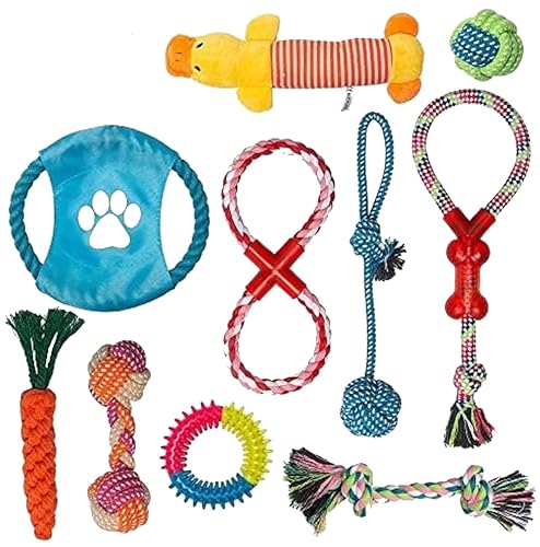 Labeol Welpen Hundespielzeug Hund Kauspielzeug Unzerstoerbar Interaktives Spielzeug 10pcs Pet Rope Spielzeug und Quietschende Hundespielzeug für Welpe Kleine Hunde von Labeol