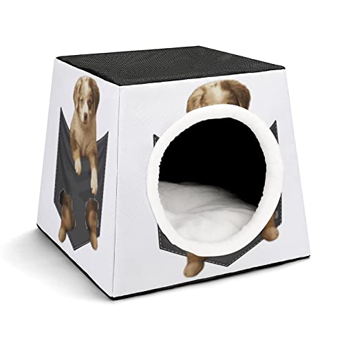 Haustier Haus Sofa Bedrucktes Katzenhaus Katzenbett Indoor Katzenwürfel für Kleine Hunde Kitty Stabil und Warm Hundetasche von LafalPer