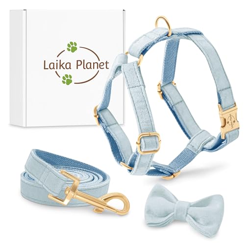 LAIKA PLANET - Hundegeschirr für Kleine Hunde mit 1,50 m Leine und vielseitiger Schleife aus Samt - H-Geschirr für Kleine Hunde, maximale Sicherheit und Komfort - Premium (XS, Blau) von Laika Planet