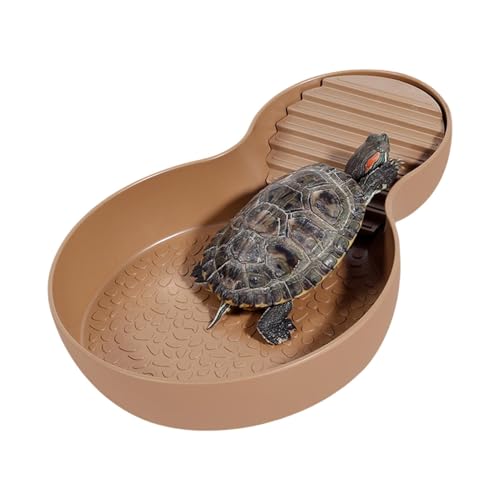 Lainiaoly Reptile Food Bowl Mit Rampe Für Schildkröte, Reptilienwasserschale, Fütterungsschale, Schildkrötenzubehör, Aquariumverzier Für Bärtige Drache von Lainiaoly