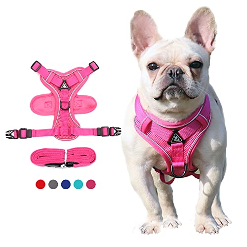 Lairle Hundegeschirr Kleiner Hund, Welpen Geschirr, No Pull Hund Hanress Reflektierende Mesh Hundeweste Hanress mit Leine Set für kleine Hunde Katzen von Lairle