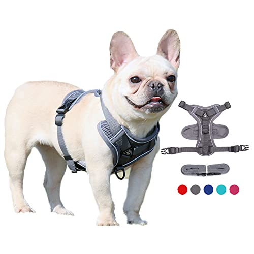 Lairle Hundegeschirr Kleiner Hund, Welpen Geschirr, No Pull Hund Hanress Reflektierende Mesh Hundeweste Hanress mit Leine Set für kleine Hunde Katzen von Lairle