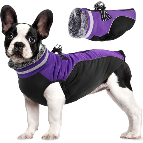 Lairle Hundemantel Wasserdicht Hundemäntel Winter Hundejacke Hundekleidung Hundegeschirr Mantel Reflektierender Hundemantel mit Geschirr für Kleine Mittlere Große Hunde von Lairle