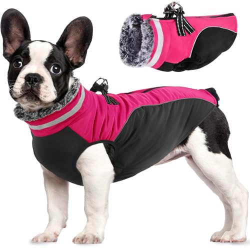 Lairle Hundemantel wasserdichte Hundemäntel Winter Hundejacke Hundekleidung Hundegeschirr Mantel Reflektierender Hundemantel mit Geschirr für kleine mittlere große Hunde (S, Rosa) von Lairle