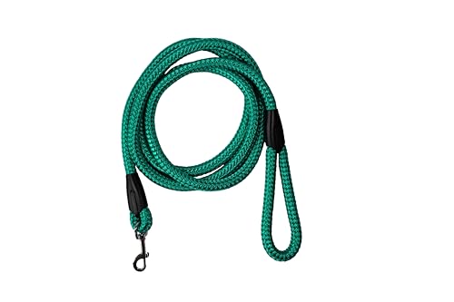Führleine - Seilleine mit Handschlaufe Basic Maxi + Ø16mm (für große Hunde), 6 Farben, 8 Längen (grün, 2,50m) von Lallebroe