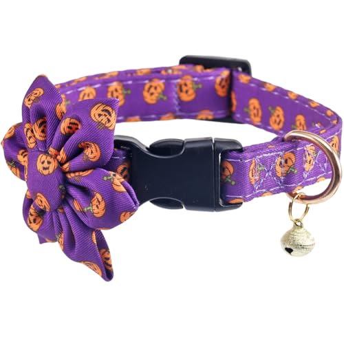 Halloween-Hundehalsband mit abnehmbaren, niedlichen Sonnenblumen, verstellbar, Kürbismuster, Größe L von Lamphyface