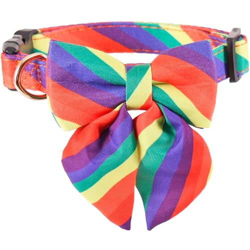 Regenbogen-Hundehalsband mit Sonnenblume für LGBT Pride Gay Parade Welpe Haustier Halsband LGBT für kleine, mittelgroße und große Hunde von Lamphyface