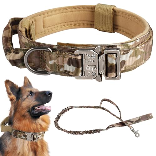 Hundekragen und Leinen setzen EIN einstellbares Nylon Heavy Duty Hundekragen mit Griff- und Metallschnallen -Trainingstraining für Hunde für Hunde zwischen 22,5 und 32,5 kg (l) von Lamppdcor