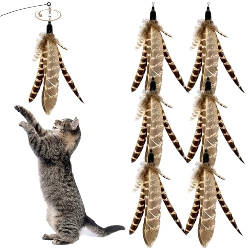 Lamppdcor 6pcs Katzenfedern Spielzeug, natürliche Vogelfedern, die Katzenstand auffüllen, interaktive Katzenspielzeugfedern Ersatz für Katzen Kätzchen Kratzerübung Innenräume von Lamppdcor