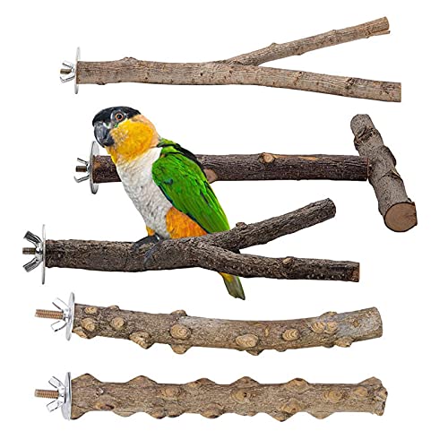 Lamptti 5 stücke Vogel Naturholz Standständer, Holzbaum Zweig Vogelständer, Vogelkäfig Hängematte Swing Spielzeug, Vogelkäfig Zubehör für kleine und mittlere Vögel von Lamptti