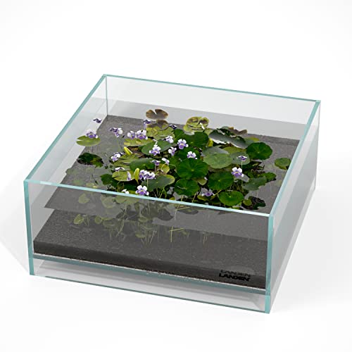 LANDEN Glas-Luft-Aquarium-Tank, Multi-SceneLandschafts-Aquarium, randlos, eisenarmer, Flacher Tank, B 27 x T 27 x H 12 cm, 5 mm Dicke von Landen