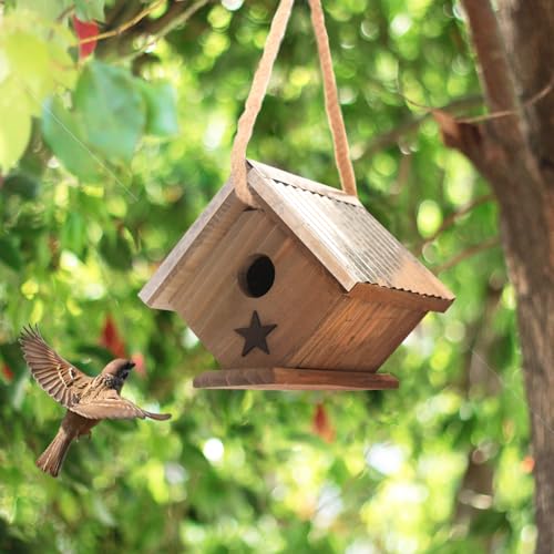 Vogelhaus aus Zedernholz, Zaunkönig, Metalldach für Zaunkönige und Küken, klassisches Design, traditionell, lebenslang haltbar und leicht zu reinigen, 5 Jahre wetterfest, Vogelhaus aus Holz von Langxinese