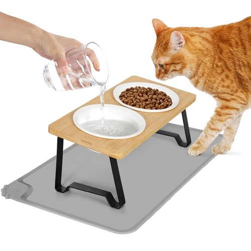 Lannvan Katzennapf Erhöht, 2er Set Futternapf Katze aus Keramik mit Napfunterlage Silikon, Ergonomischer Futterstation 15°gekippte Katzen Hundenapf,Fressnapf und Wassernapf für Katzen und kleine Hunde von Lannvan