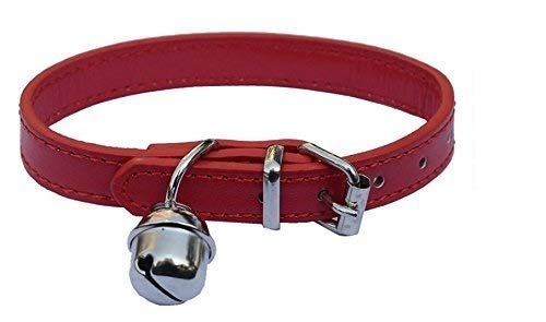 Haustier-Halsband, Leder, für Katzen, Welpen, Hunde, von 20,3 cm -26,7 cm verstellbar von Lanyarco