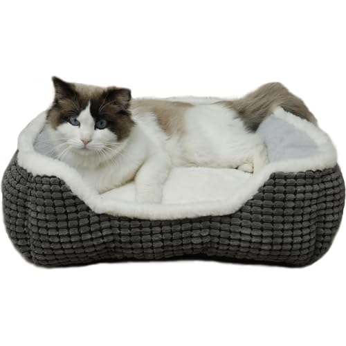 Hundebett für mittelgroße Hunde, niedliches Katzenbett für Indoor-Katzen, waschbar, superweich, langlebig, Kätzchenbett und Welpenbett, luxuriöses, quadratisches graues Kleintierbett von Laojin Balhen