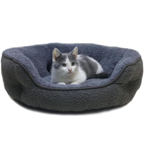 Kätzchenbett, niedliches Katzenbett für Indoor-Katzen, Haustierbett für Welpen und Katzen, waschbar, super weich und langlebig, Katzen- und Hundebett, rutschfeste Unterseite, tragbar, luxuriös, oval, von Laojin Balhen