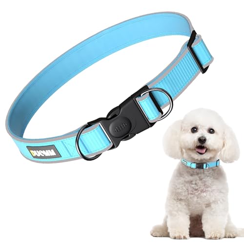 Larfraecy Verstellbares Halsband für Hunde Reflektierendes Hundehalsband,Hundehalsband für mittlere bis große Hunde,Atmungsaktives Nylon mit abschließbarer Schnalle und D-Ring,blau (M) von Larfraecy