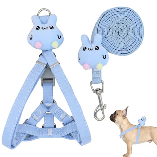 Larfraecy Verstellbares Hundegeschirr und Leinen-Set für kleine Hunde,Weiches Polyester mit verspieltem Hasencharme,360° drehbarer Haken,Weiche Westengeschirre mit Sicherheitsschnalle (Blau) von Larfraecy