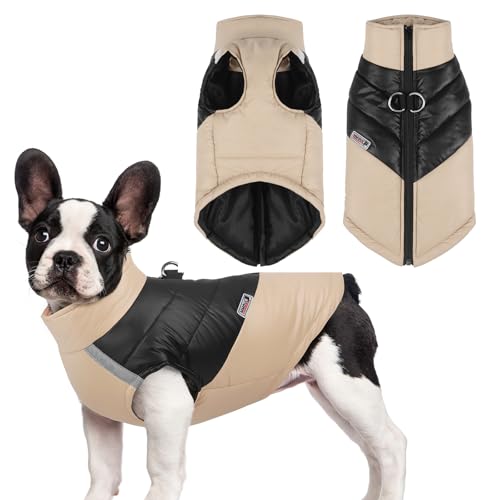 Wasserdichter Hundemantel, Warmer Hundewintermantel Fleece Hundemantel Haustier Hundemantel Jacke Outdoor-Welpenmantel Weste Haustier-Winter-Bekleidung für kleine, mittlere Hunde (L,4-5.5kg) von Larfraecy