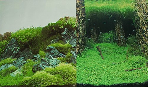 Lasama Rückwandfolie Scapers Hill/Scapers Forest 100 x 48,5 cm von Lasama