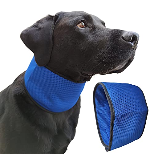 Lautus Pets Kühlendes Bandana für Hunde, schnell kühlend, leicht und tragbar, kühlendes Bandana für Hunde, einfach zu bedienen, kühlendes Halsband, verhindert Überhitzung, perfekt für Hundebesitzer von Lautus Pets