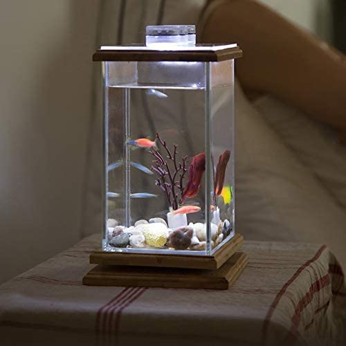 Glas-Mini-Desktop-Aquarium Wohnzimmer Kleiner Schreibtisch kreative Faule ökologische kleine Aquariumlandschaft von Lavendre