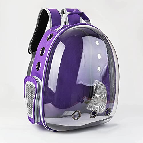 Ldabrye Lässiger Tagesrucksack, klassischer Rucksack für College, Reisen, Arbeit, atmungsaktiv, transparent, Kapsel, Haustier, für Katzen, Welpen, Reise, Platz für die Tragetasche von Ldabrye