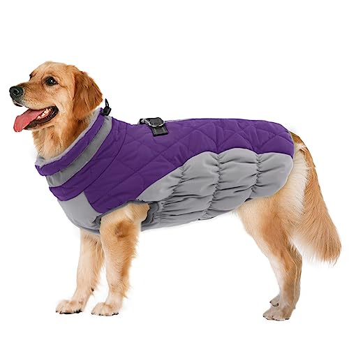 Lelepet Wasserdicht Hundemantel, Winter Winddicht Hundejacke mit Geschirr, Warme Reflektierend Schneeanzug Winterweste, Kaltes Wetter Hundepullover für Kleine Mittlere Große Hunde (Lila, 3XL) von LeLePet