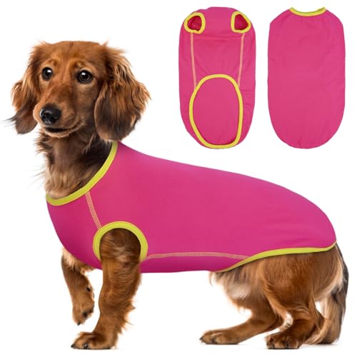 Lelepet Dackel-Hunde-Shirt, weiches Hundekostüm für kleine, mittelgroße und große Hunde, klassisches Hunde-T-Shirt für Dackel, dehnbare Dackelkleidung mit farbigem Rand, Hunde-Sweatshirt für Jungen von LeLePet