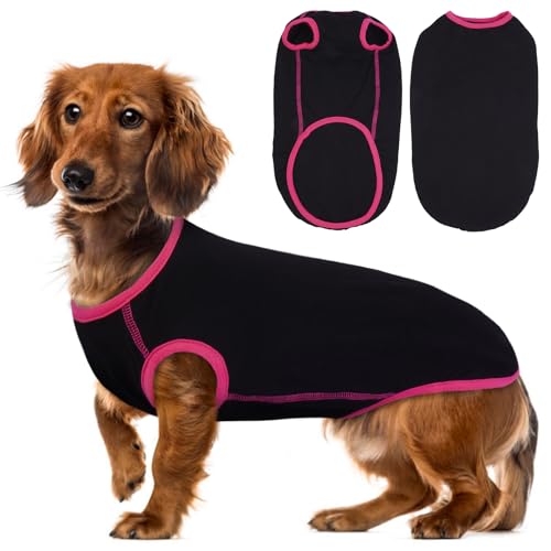 Lelepet Dackel-Hunde-Shirt, weiches Hundekostüm für kleine, mittelgroße und große Hunde, klassisches Hunde-T-Shirt für Dackel, dehnbare Dackelkleidung mit farbigem Rand, Hunde-Sweatshirt für Jungen von LeLePet