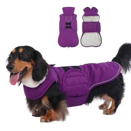 Lelepet Dackelmantel, warmer Hunde-Wintermantel, kleine Hundejacke für Dackel, wasserdichte Hundejacke für Dackel, reflektierende Dackel-Jacke mit Fleecefutter, verstellbarem Riemen, Dackelkleidung, von LeLePet