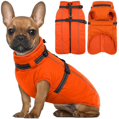 Lelepet Hundemantel für den Winter, Warme Hundejacke mit integriertem Geschirr, Winddicht Mantel mit Fleece Gefüttert für Hunde, Reflektierende Hundeweste für Kaltes Wetter, Orange XS von LeLePet