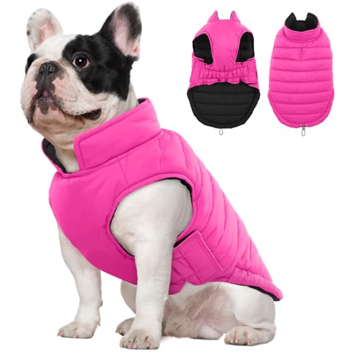 Lelepet Hundemantel, wendbarer Hunde-Wintermantel für kleine, mittelgroße und große Hunde, Warmer Hunde-Schneeanzug, wasserdichte Hunde-Winterjacke, Haustierwelpe, kaltes Wetter, Hundepufferjacke von LeLePet