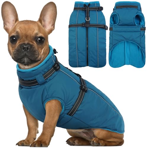 Lelepet Hundemantel für den Winter, Warme Hundejacke mit integriertem Geschirr, Winddicht Mantel mit Fleece Gefüttert für Hunde, Reflektierende Hundeweste für Kaltes Wetter, Blau S von LeLePet