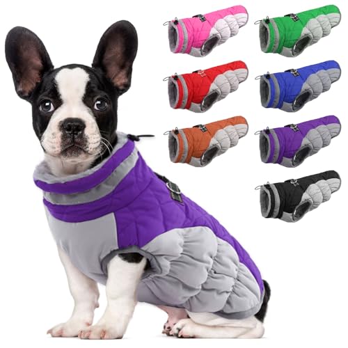 Lelepet Wasserdicht Hundemantel, Winter Winddicht Hundejacke mit Geschirr, Warme Reflektierend Schneeanzug Winterweste, Kaltes Wetter Hundepullover für Kleine Mittlere Große Hunde (Lila, XS) von LeLePet