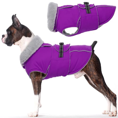 Lelepet Hundemantel Winterweste Reflektierende Fleece Hundejacke für Mittelgroße Hunde Wasserdicht Hundejacke Wintermantel Warme Winterjacke mit Verstellbarer Schnalle, Lila L von LeLePet