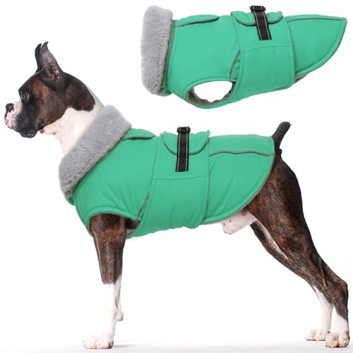 Lelepet Hundemantel Winterweste Reflektierende Fleece Hundejacke für Kleine Hunde Wasserdicht Hundejacke Wintermantel Warme Winterjacke mit Verstellbarer Schnalle, Grün S von LeLePet