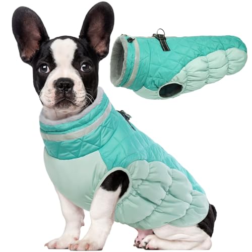 Lelepet Wasserdicht Hundemantel, Winter Winddicht Hundejacke mit Geschirr, Warme Reflektierend Schneeanzug Winterweste, Kaltes Wetter Hundepullover für Kleine Mittlere Große Hunde (Mintgrün, S) von LeLePet