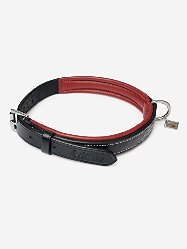 LeMieux Windsor Hundehalsband, gepolstert, Größe XL, Schwarz / Burgunderrot von LeMieux